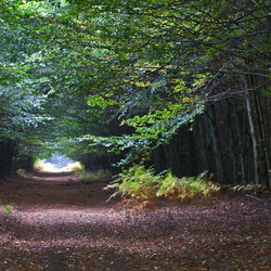 Paysages